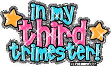 thirdtrimester.gif image by DLSecret87